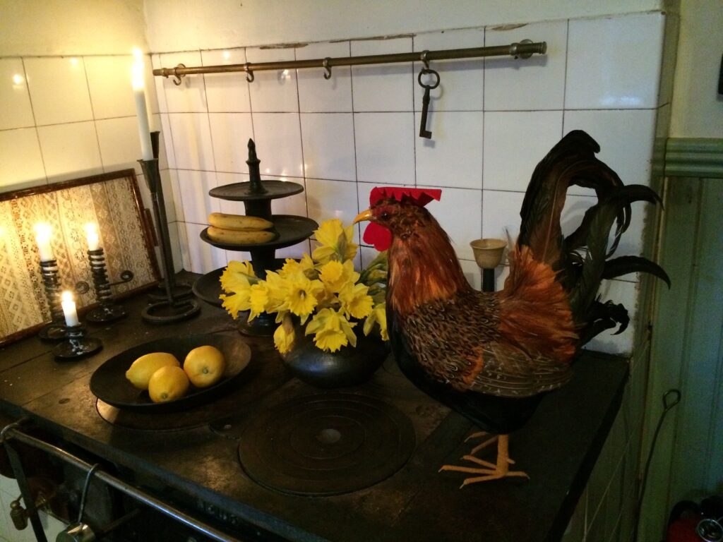 Aktuellt